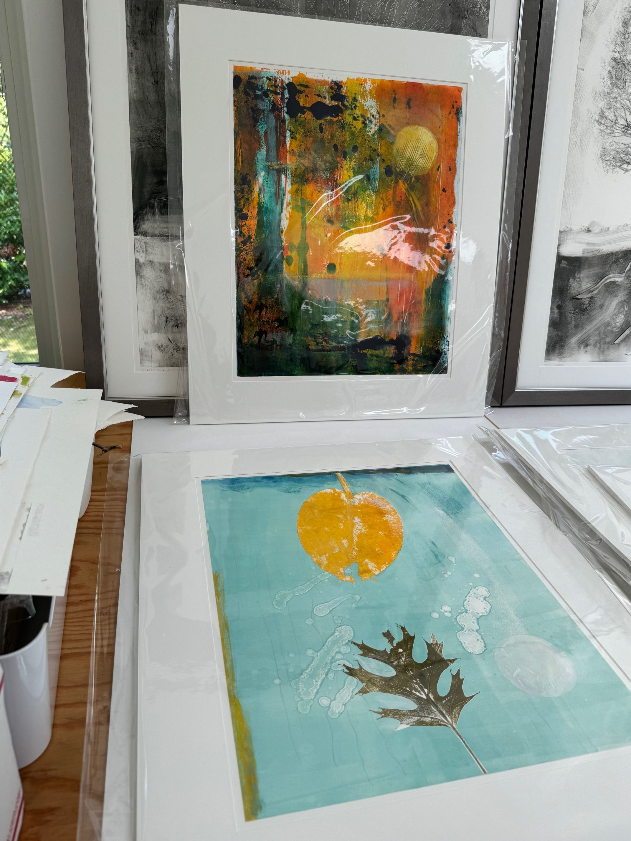 Laurie Dolphin