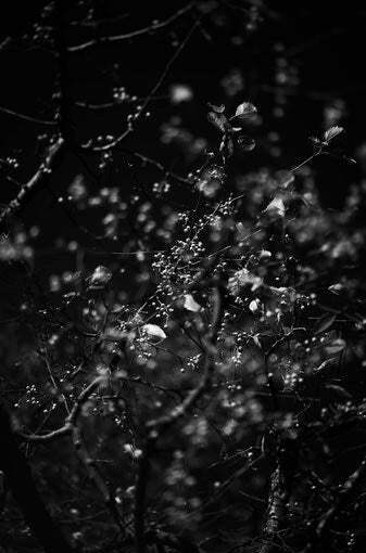 architecture of eden 35