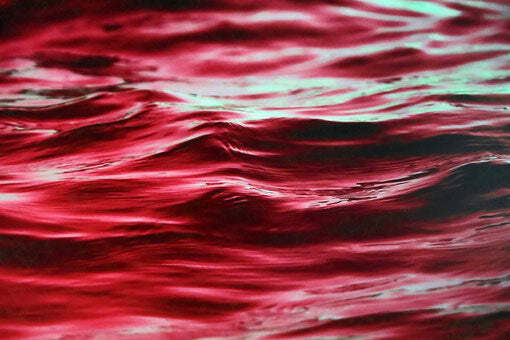 Red Sea