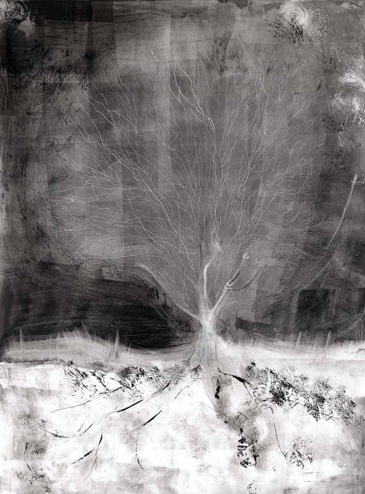Nocturnal Maple Tree