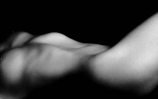 Torso