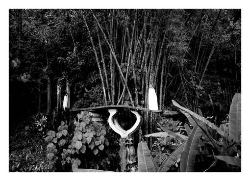 Places where I'll be  Xilitla serie - Las Pozas 05