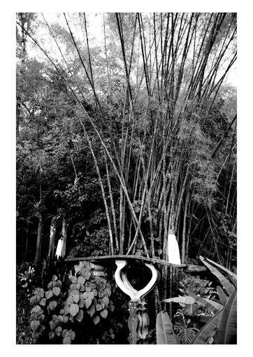 Places where I'll be  Xilitla serie - Las Pozas 06