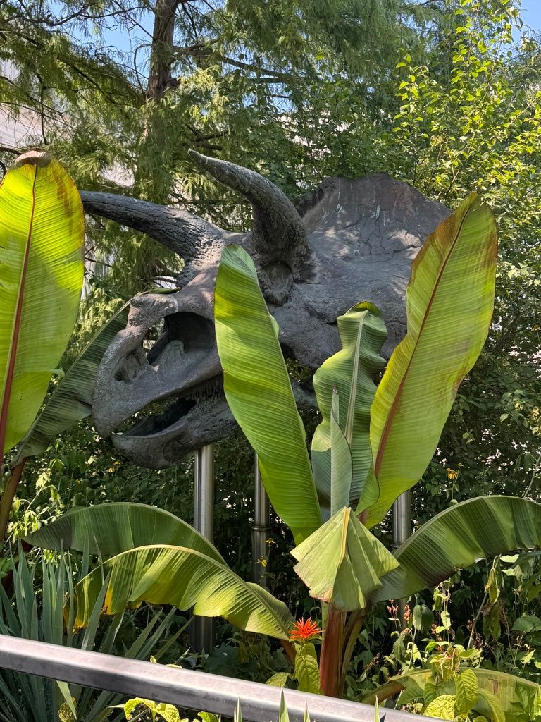 A Day Among Sculptures: Discovering Art in the Garden