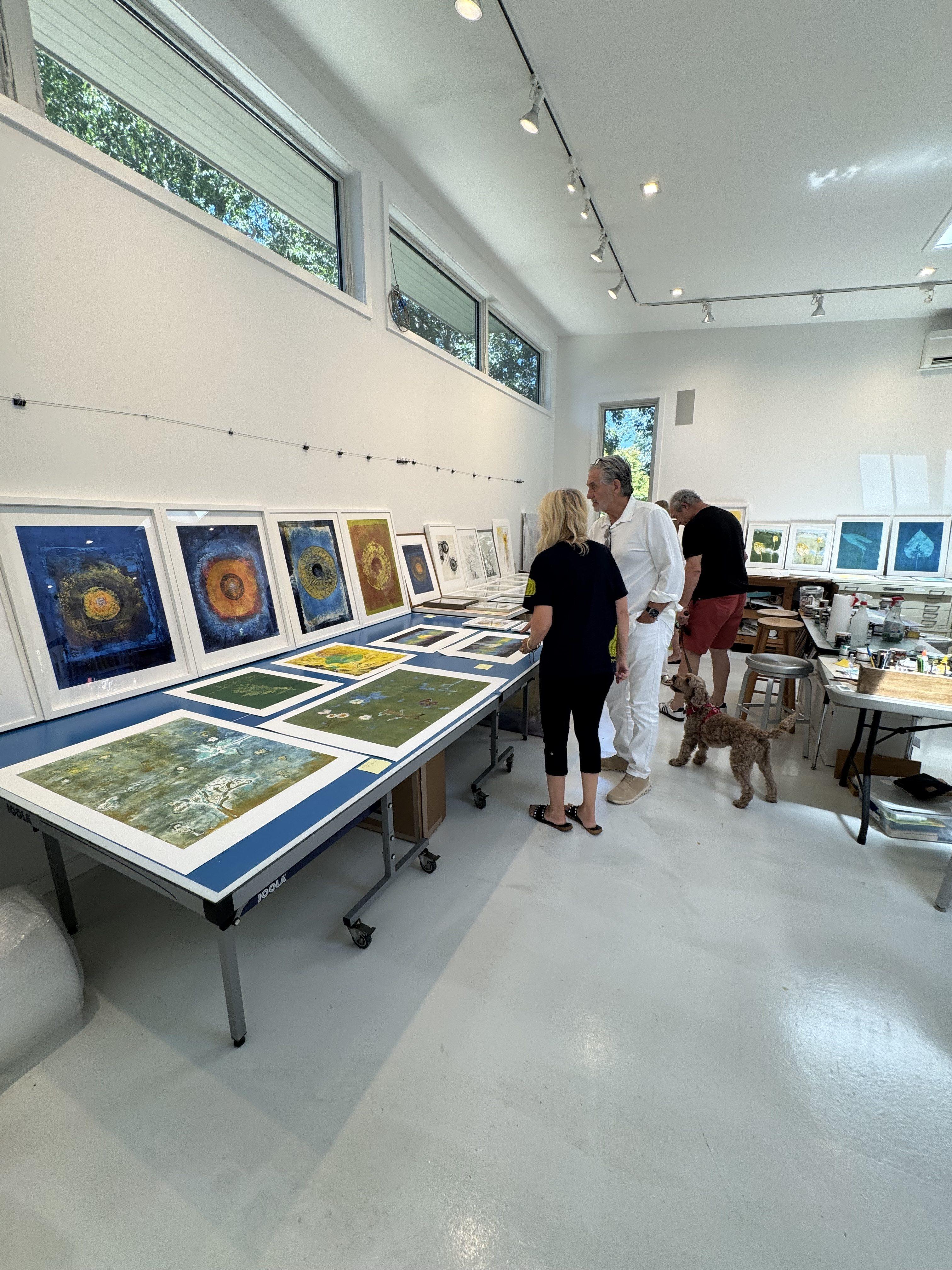 A visit to Shelter Island and a wonderful studio visit with artist Laurie Dolphin.