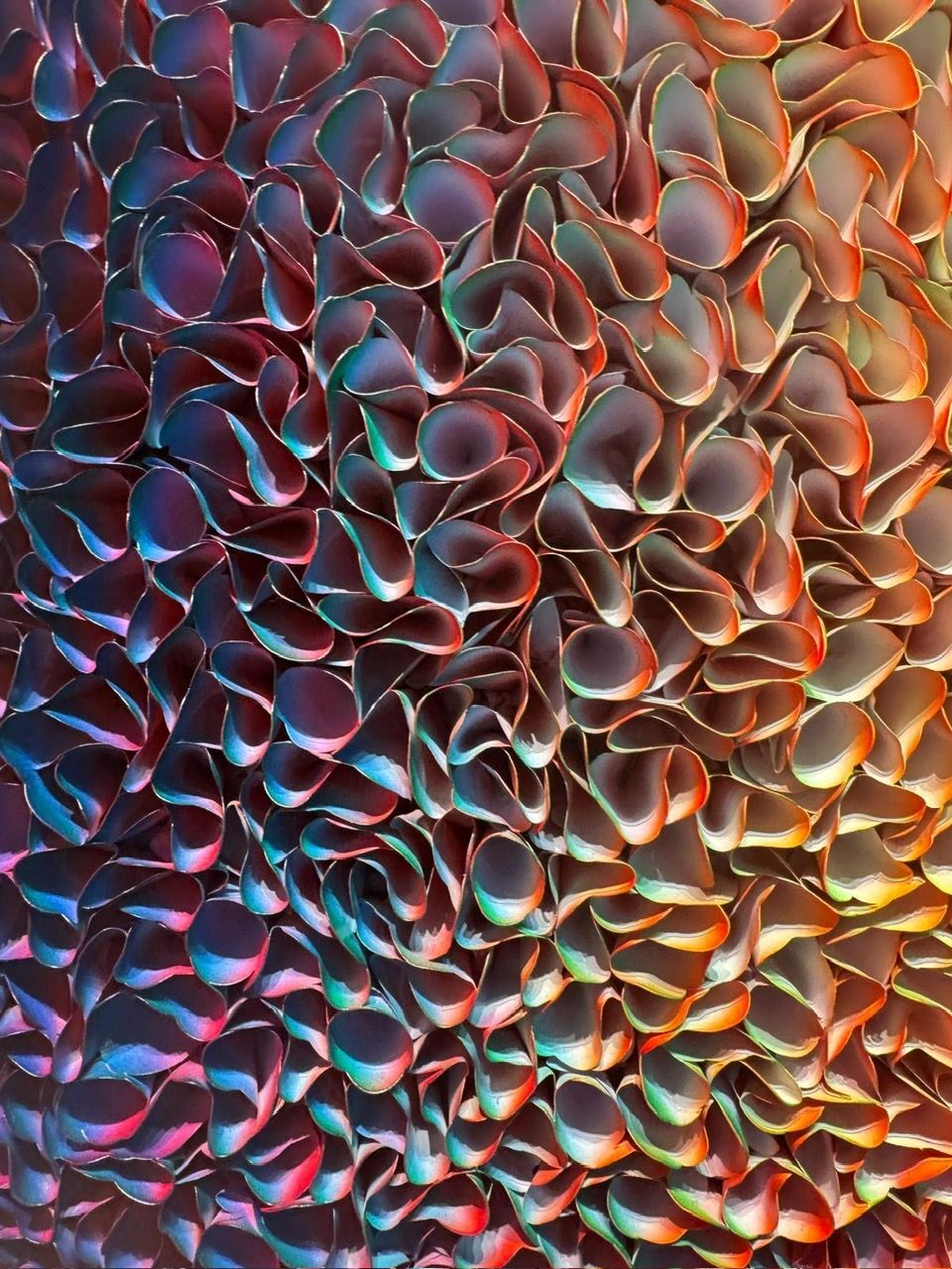 art miami