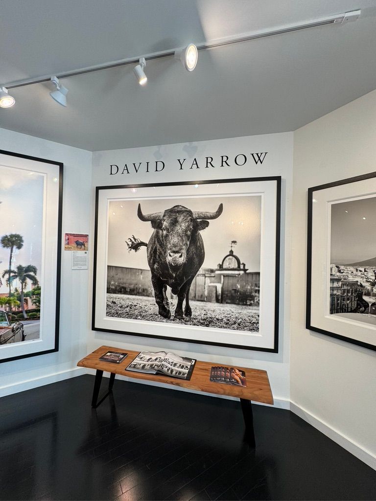 David Yarrow’s striking black and white photography at Sorrel Gallery