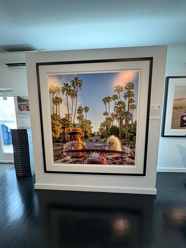 David Yarrow’s striking black and white photography at Sorrel Gallery