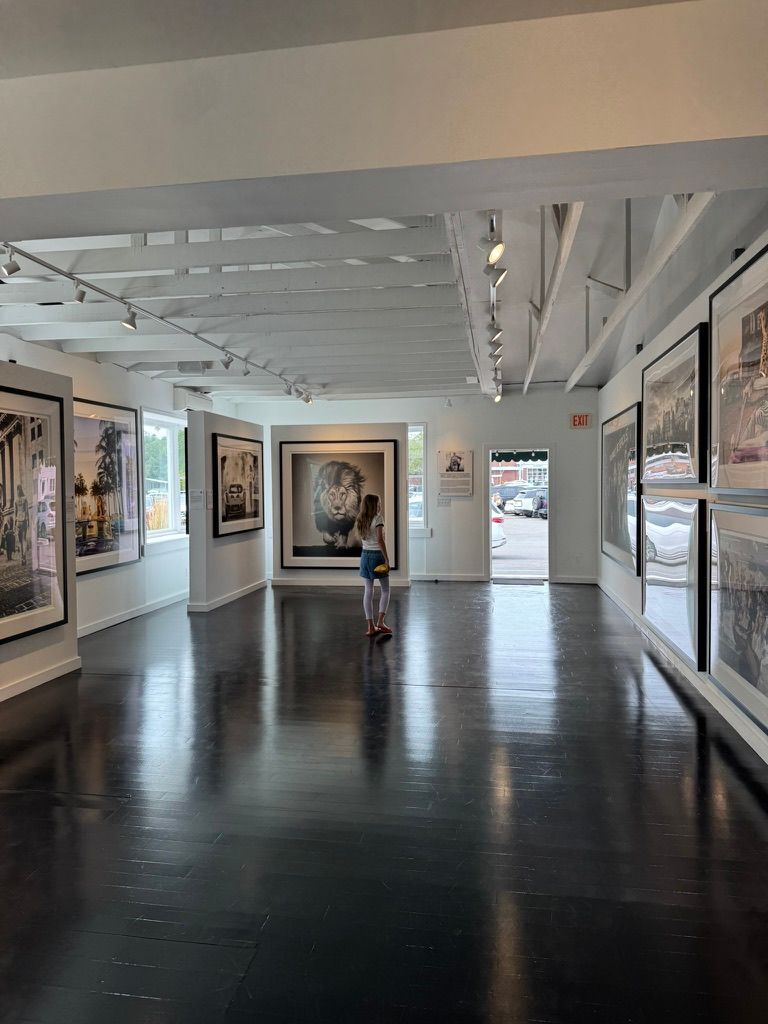 David Yarrow’s striking black and white photography at Sorrel Gallery