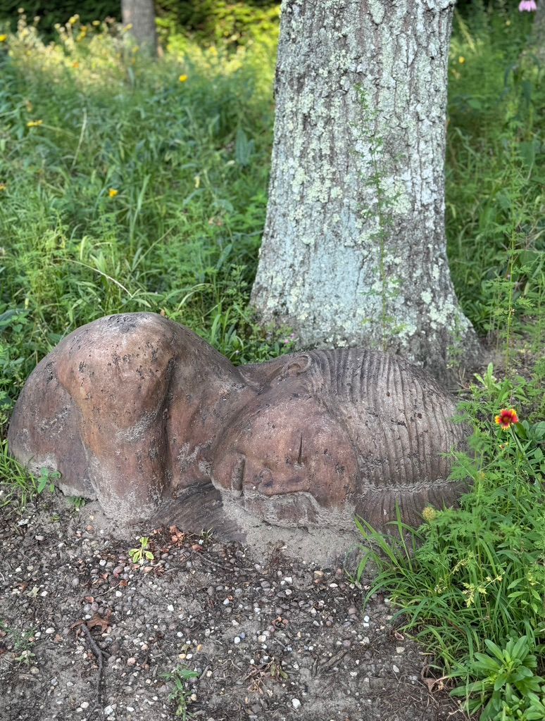 Where Art Meets Nature: David Corigliano’s Sculpture Garden