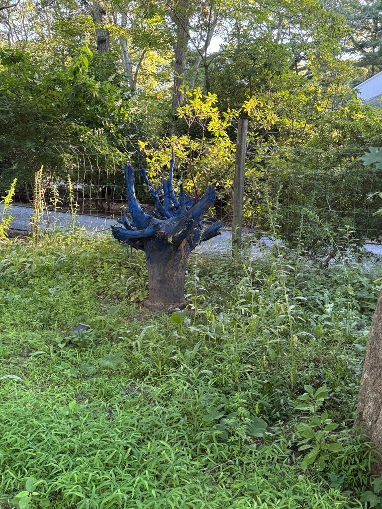 Where Art Meets Nature: David Corigliano’s Sculpture Garden