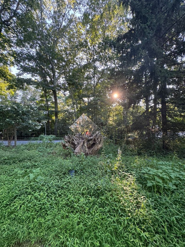Where Art Meets Nature: David Corigliano’s Sculpture Garden